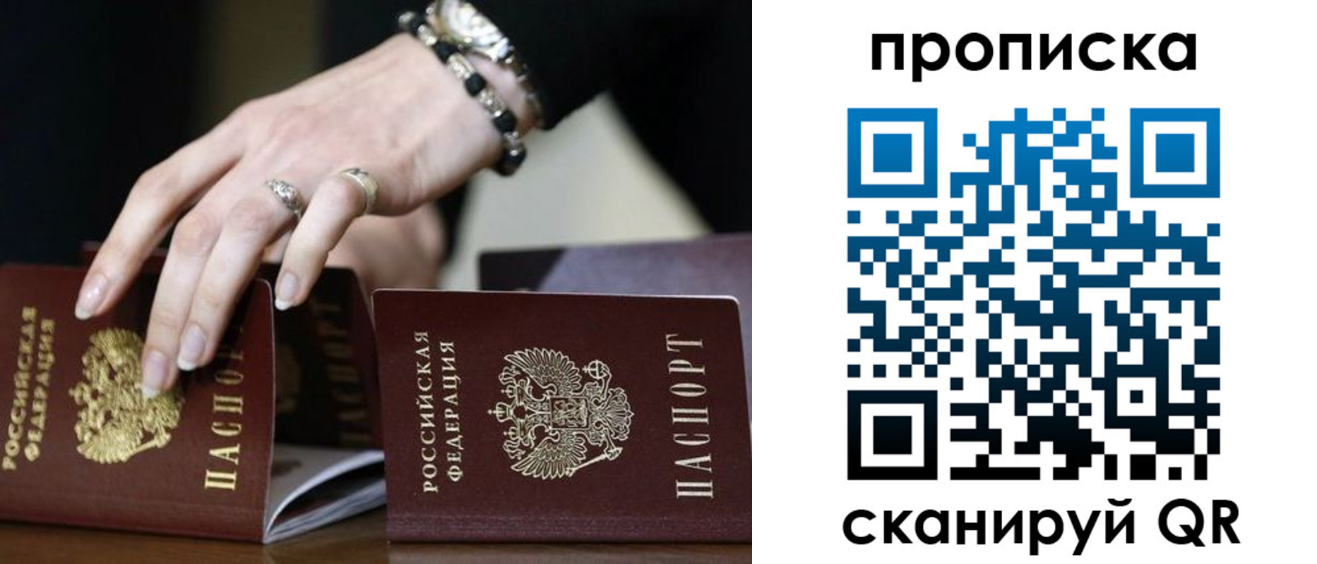 прописка для школы в Светлограде